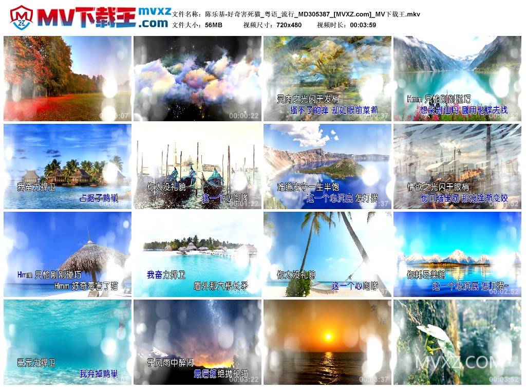 陈乐基-好奇害死猫_粤语_流行_MD305387